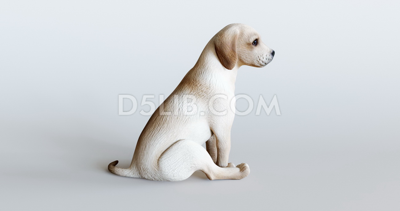Free Dog Animal Assets For D5 Render Download-105