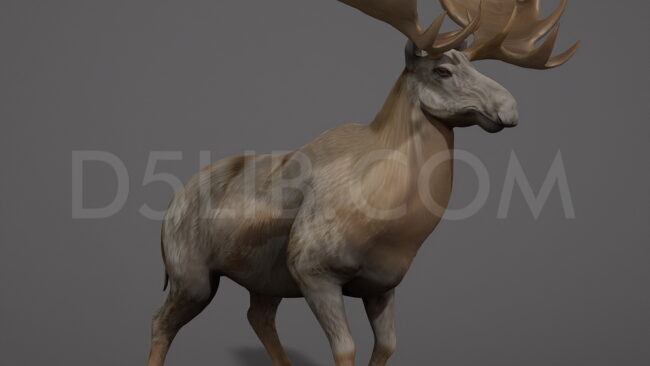 D5lib Moose Animated (10)