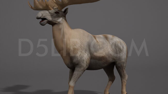 D5lib Moose Animated (4)