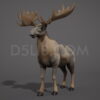 D5lib Moose Animated (6)