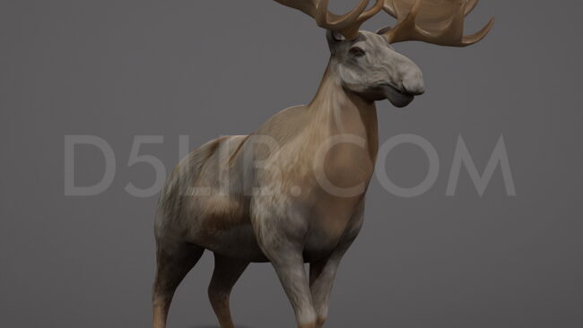 D5lib Moose Animated (9)