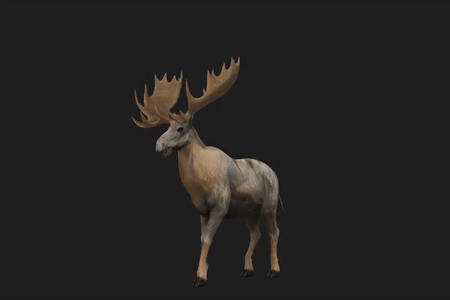 D5lib Moose Animated