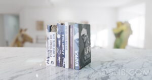 Free D5 Render Assets Download Decorative Book 3d Models-222