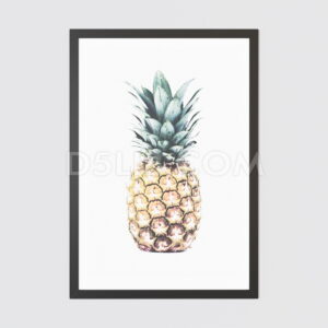 D5lib Loja Enquadrados Vol 01