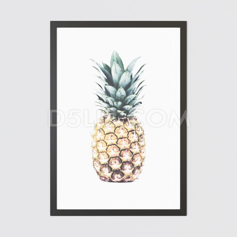 D5lib Loja Enquadrados Vol 01