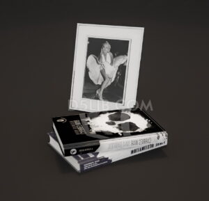 Free Decor Mini Model Assets For D5 Render Download-283