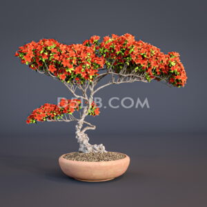 Free Bonsai Tree Model Assets For D5 Render Download-300