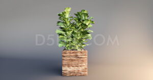Free Tree Model Assets For D5 Render Download-301