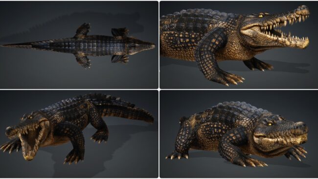 D5lib Animated Crocodile (2)