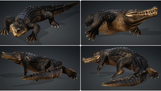 D5lib Animated Crocodile (3)