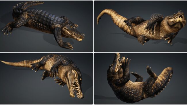 D5lib Animated Crocodile (4)