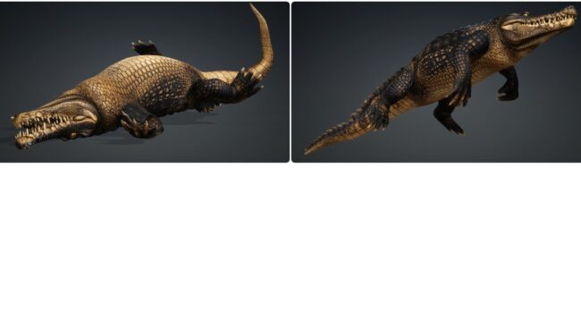D5lib Animated Crocodile (5)
