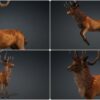 D5lib Animated Deer (1)