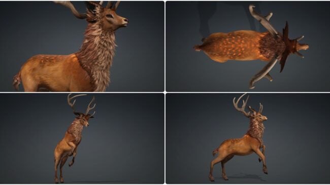 D5lib Animated Deer (2)