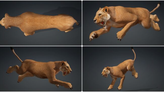 D5lib Animated Lion (2)