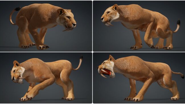 D5lib Animated Lion (3)