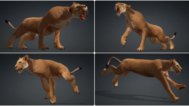D5lib Animated Lion (4)