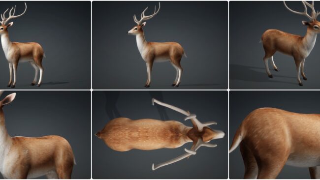D5lib Animated Deer26_v1 (1)