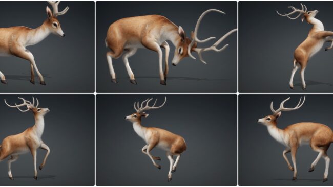 D5lib Animated Deer26_v1 (2)